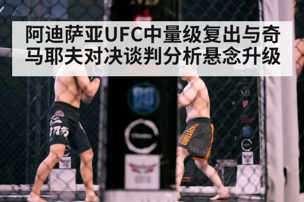 MMA fighters cage octagon